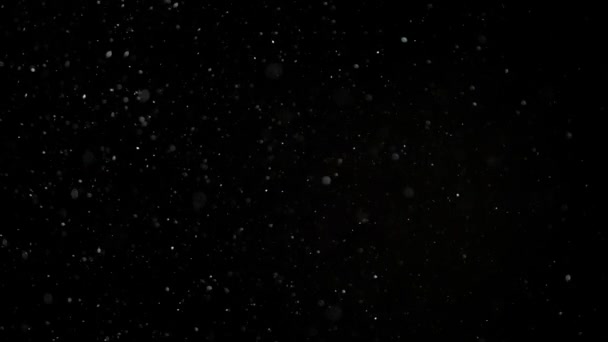 Slow Motion Snow em fundo preto , — Vídeo de Stock