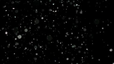 Siyah arka plan üzerine ağır çekim kar,