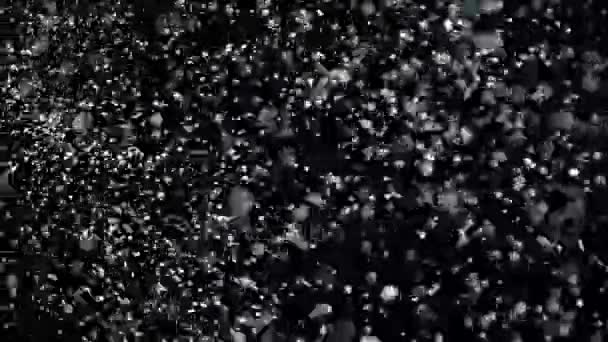 Lassú mozgás hó a fekete háttér, — Stock videók