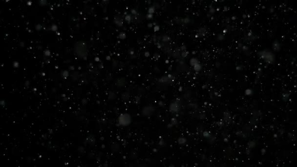 Nieve en cámara lenta sobre fondo negro , — Vídeo de stock