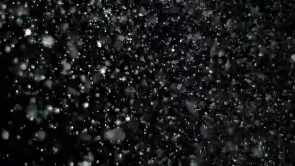 Slow Motion Snow on Black Background, — Stock Video