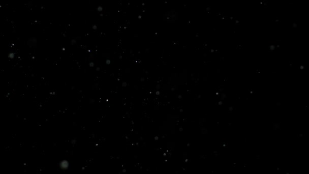 Zwolnionym tempie śniegu na czarnym tle, — Wideo stockowe