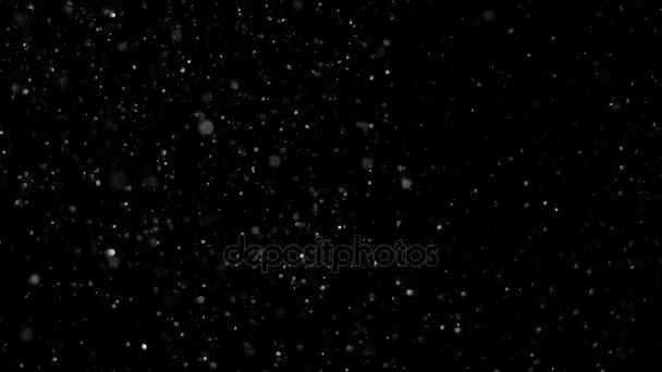 Slow Motion Snow em fundo preto , — Vídeo de Stock