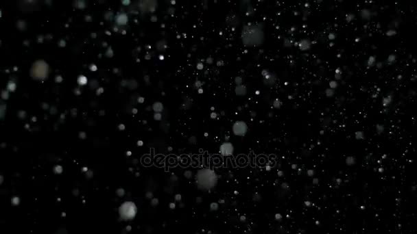 Zwolnionym tempie śniegu na czarnym tle, — Wideo stockowe