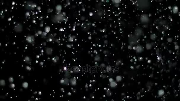 Slow Motion Snow on Black Background, — Stock Video