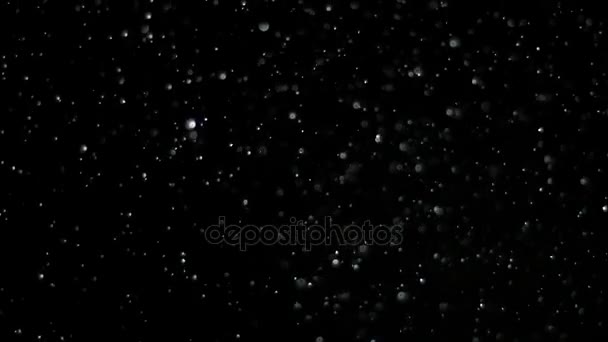 Slow Motion Snow em fundo preto , — Vídeo de Stock