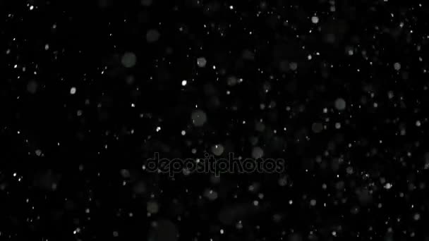 Slow Motion Snow on Black Background, — Stock Video