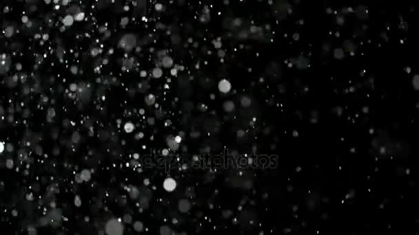 Slow Motion Snow em fundo preto , — Vídeo de Stock