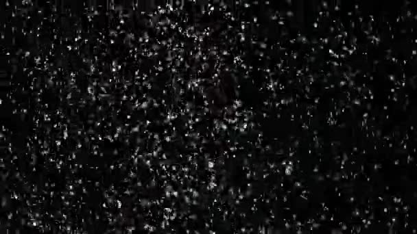 Nieve en cámara lenta sobre fondo negro , — Vídeos de Stock