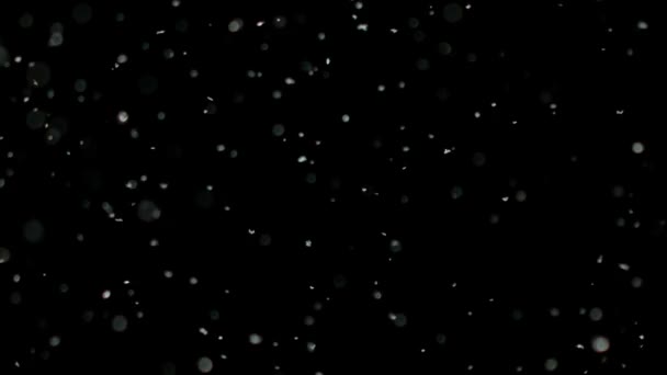 Lassú mozgás hó a fekete háttér, — Stock videók