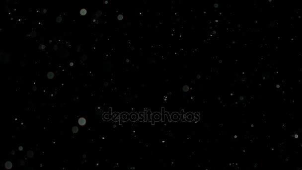 Neige au ralenti sur fond noir ,