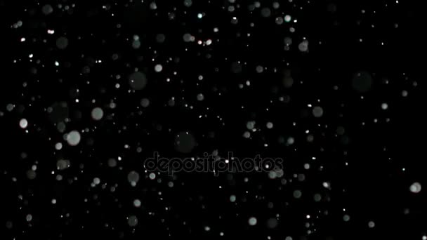 Slow Motion Snow on Black Background, — Stock Video