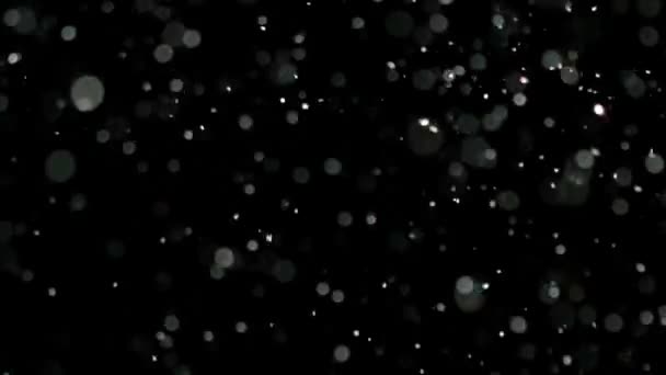 Slow Motion Snow em fundo preto , — Vídeo de Stock