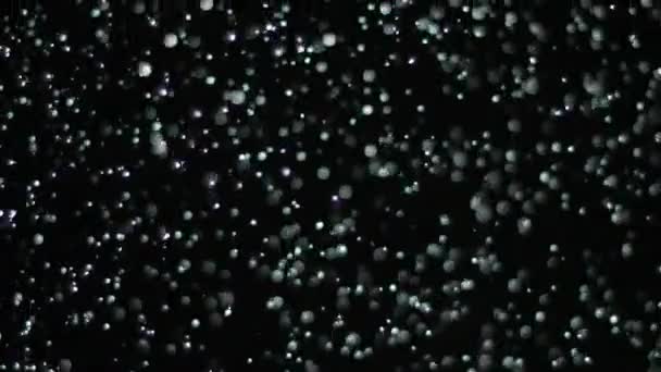Slow Motion snö på svart bakgrund, — Stockvideo