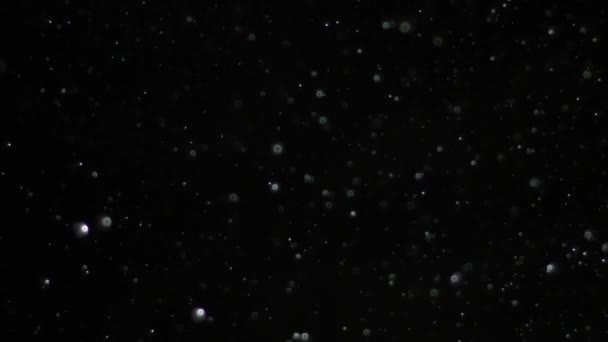 Slow Motion sneeuw op zwarte achtergrond, — Stockvideo