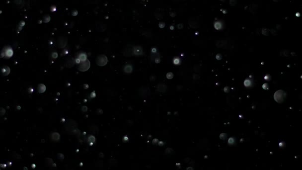 Neige au ralenti sur fond noir , — Video