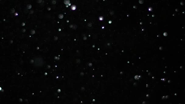 黑色背景下的慢动作雪, — 图库视频影像