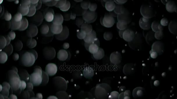 Schnee in Zeitlupe auf schwarzem Hintergrund, — Stockvideo