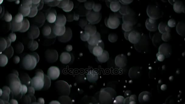 Slow Motion Snow on Black Background, — Stock Video