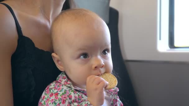 Un bebé comiendo una galleta en el tren — Vídeo de stock