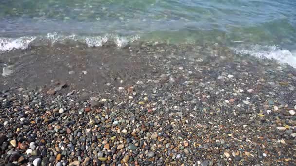 Pedrinhas marinhas e ondas oceânicas na praia — Vídeo de Stock