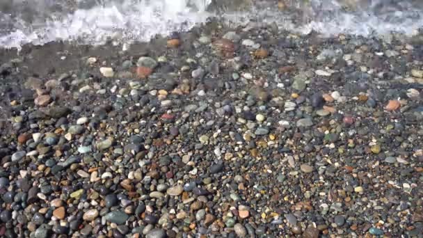 Pedrinhas marinhas e ondas oceânicas na praia — Vídeo de Stock