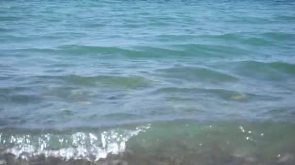 Les vagues de la mer. Marée . — Video
