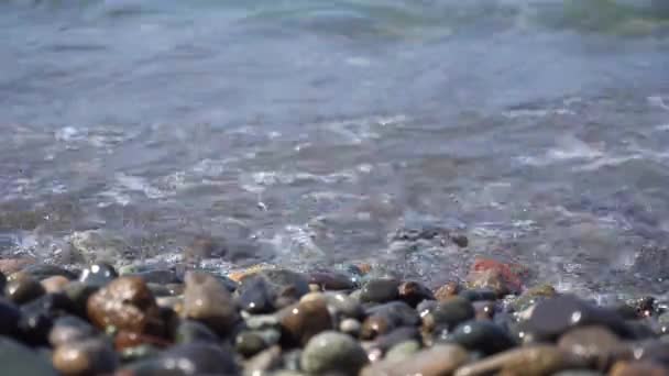 Guijarros de mar y olas del océano en la playa — Vídeo de stock