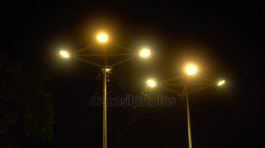 Geceleri Streetlamps uçan güve