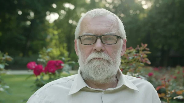 Oude man in het park — Stockfoto