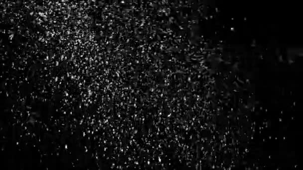 Siyah bir zemin üzerine gerçek yağan kar — Stok video