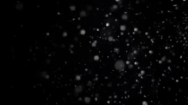 Nieve real cayendo sobre un fondo negro — Vídeos de Stock
