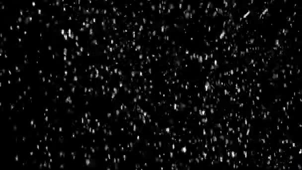 黒の背景に真雪 — ストック動画