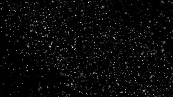 在黑色背景上真正落雪 — 图库视频影像