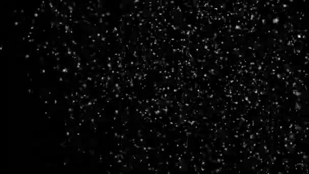 Настоящий падающий снег на черном фоне — стоковое видео
