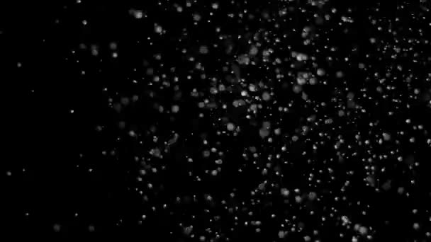 Zăpadă în cădere pe un fundal negru — Videoclip de stoc