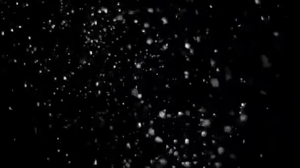 Nieve real cayendo sobre un fondo negro — Vídeos de Stock