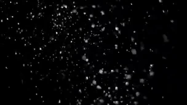 Real Falling Snow on a Black Background — Stock Video