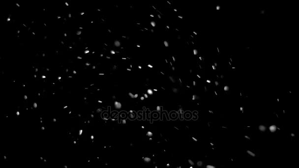 Nieve real cayendo sobre un fondo negro — Vídeos de Stock