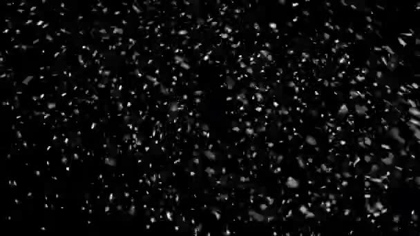 Nieve real cayendo sobre un fondo negro — Vídeo de stock