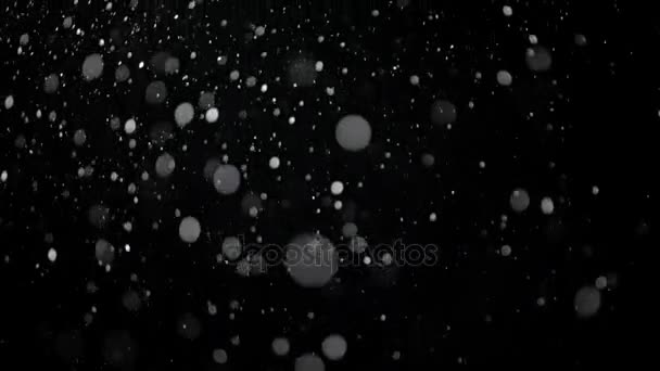 Real Falling Snow on a Black Background — Stock Video