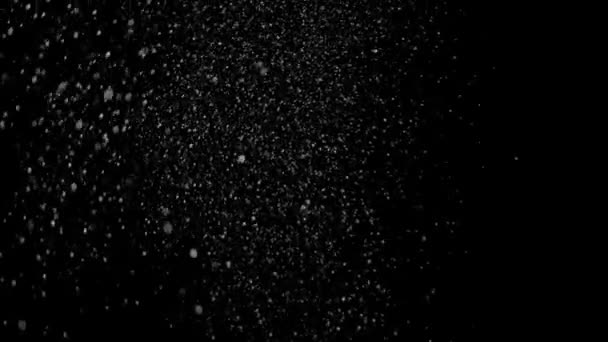 Real Falling Snow on a Black Background — Stock Video