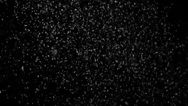 Справжній падаючий сніг на чорному тлі — стокове відео