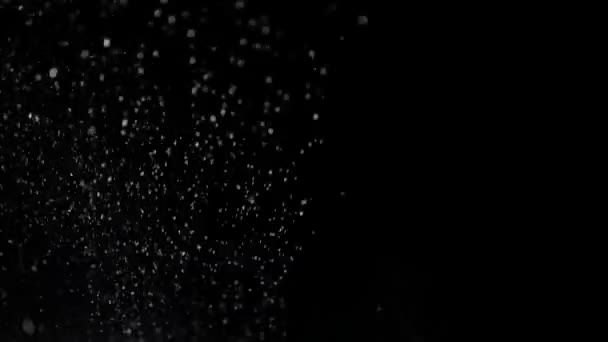 Siyah bir zemin üzerine gerçek yağan kar — Stok video
