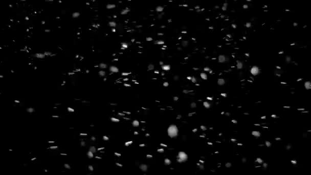 Véritable neige tombante sur fond noir 