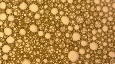 Sabun köpüğü ya da şampuan yıkama.