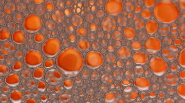 Sabun köpüğü ya da şampuan yıkama.