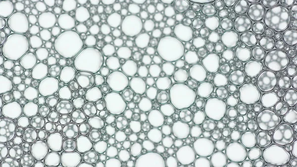 Foam Bubble from Soap or Shampoo Washing