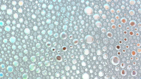 Foam Bubble from Soap or Shampoo Washing