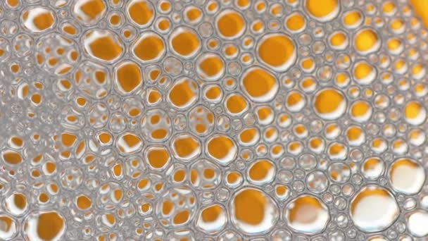 Burbuja de espuma de lavado de jabón o champú — Vídeo de stock